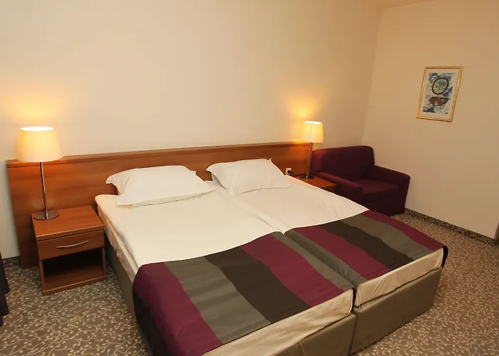 Ξενοδοχείο Four Points By Sheraton Μπάνσκο